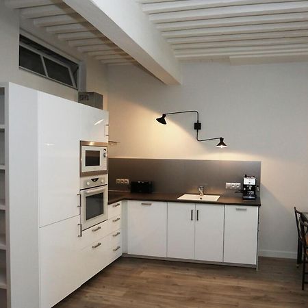 55 M2 Apart With Big Terrace In Annecy Downtown Екстер'єр фото