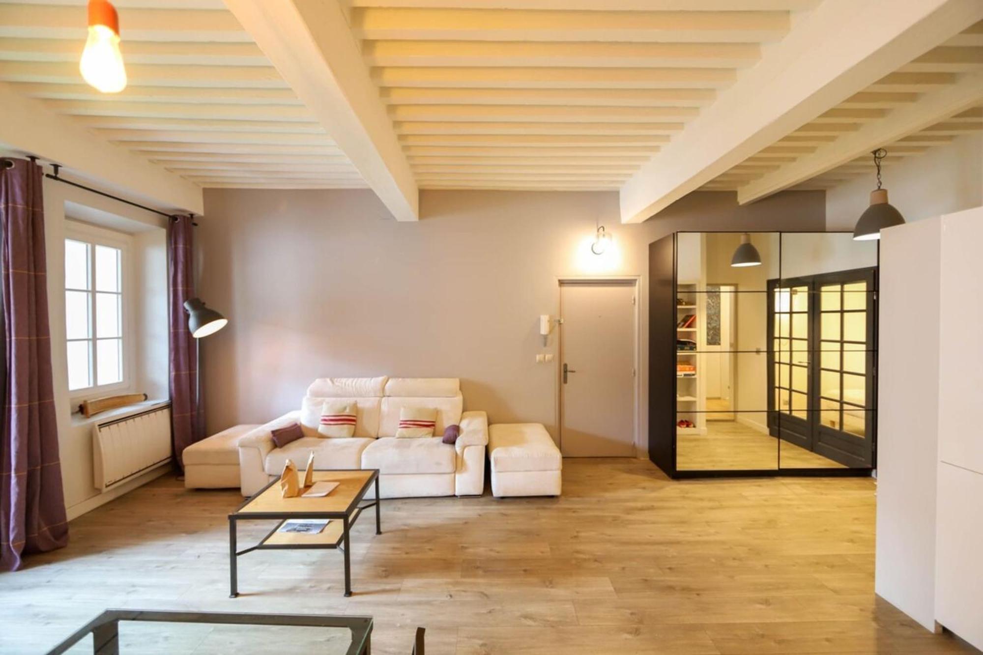 55 M2 Apart With Big Terrace In Annecy Downtown Екстер'єр фото